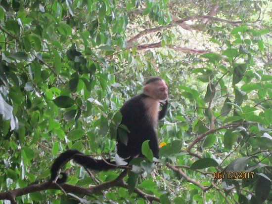 Parc national Manuel-Antonio
